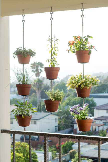 Talk about eye-catching, this idea from Horticult will make a definite statement on an apartment balcony.<br />See how they did it »<br />