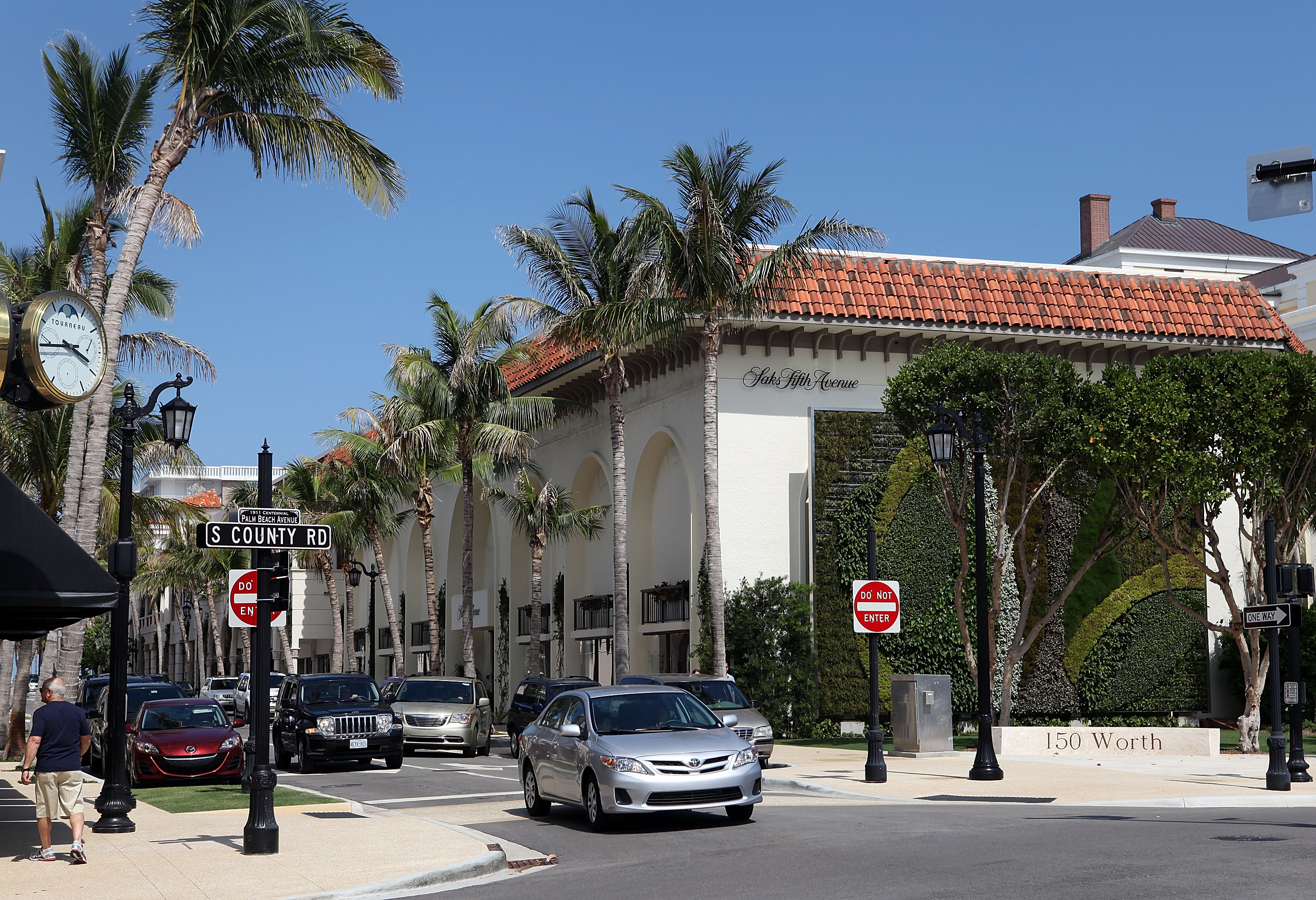 The Most Beatiful Palm Avenue | the most beatiful palm avenue the most beatiful palm The Most Beatiful Palm Avenue | the most beatiful palm avenue the most beatiful palm