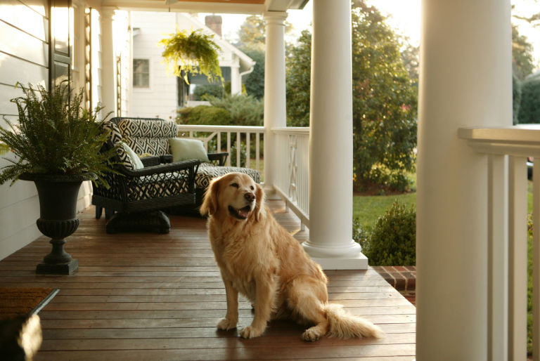 1 from the first balmy day of the year you practically live on the front porch - American Home Decorations 1 from the first balmy day of the year you practically live on the front porch - American Home Decorations