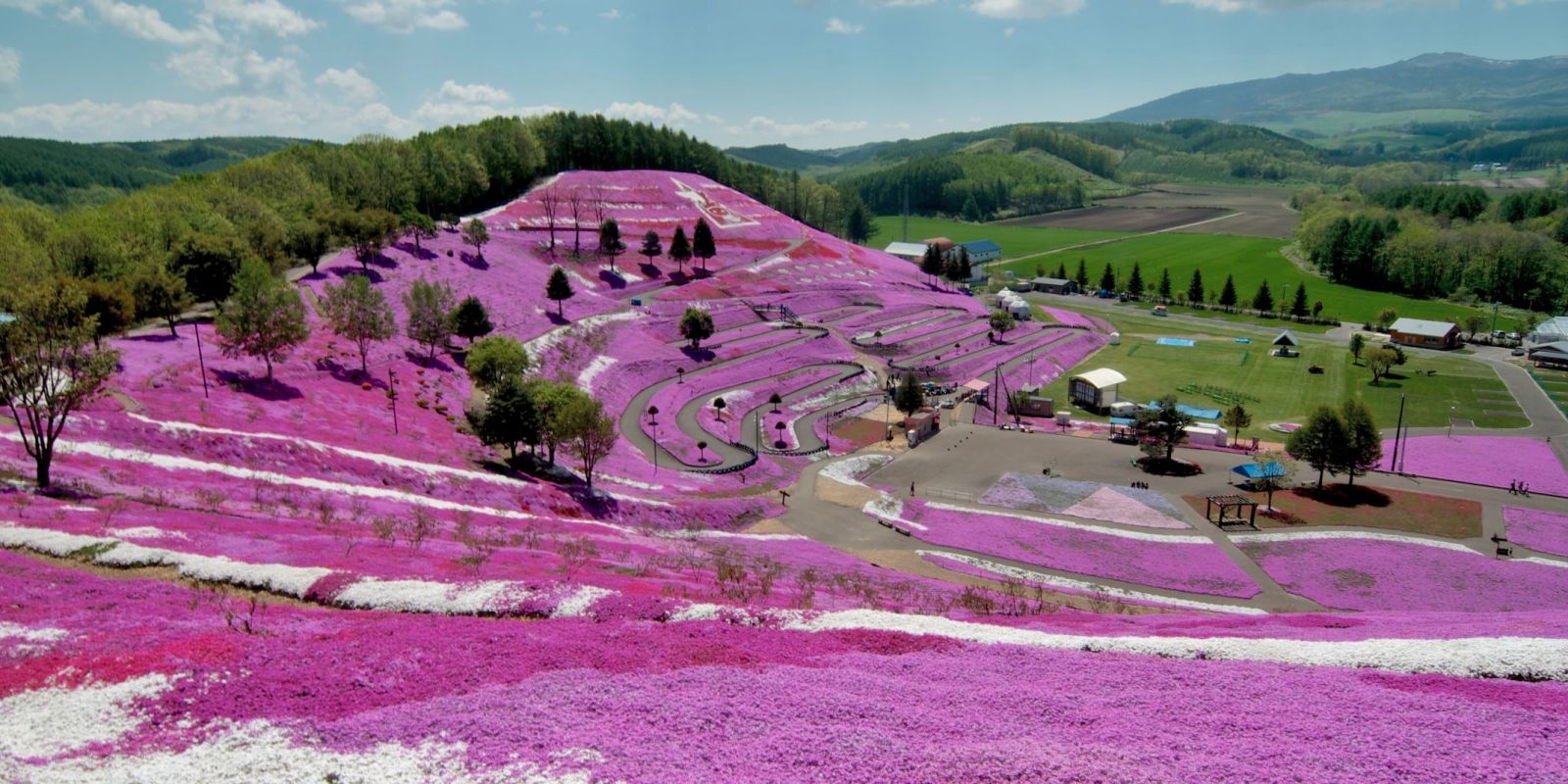 landscape 1434745546 phlox