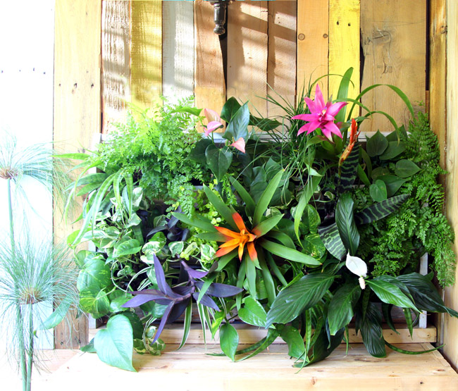 This lush focal point starts with a wood pallet.<br />See the tutorial at A Piece of Rainbow »<br />