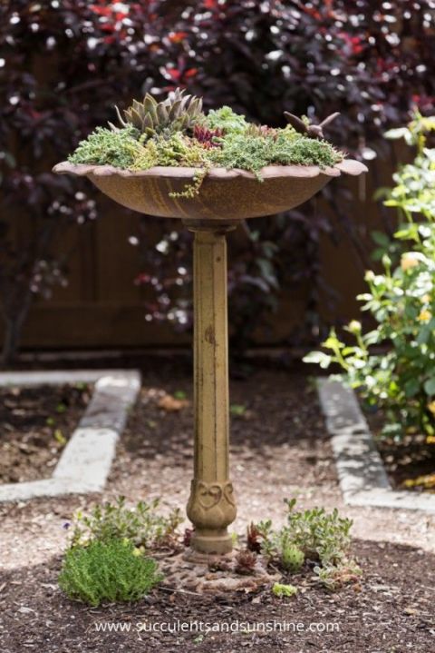 This elevated display is part sculpture, part mini-garden.<br />See more at Succulents and Sunshine »<br />