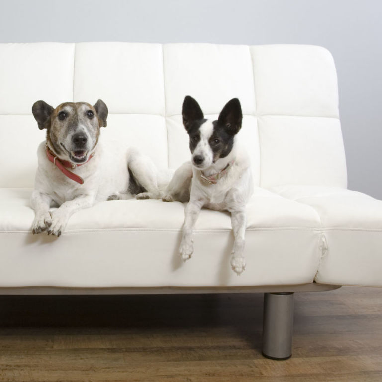 15 Things You Should Never EVER Have In Your Home After 30