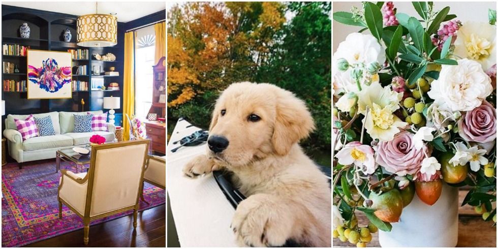 house beautiful's most-liked instagram posts of 2015 - house house beautiful's most-liked instagram posts of 2015 - house
