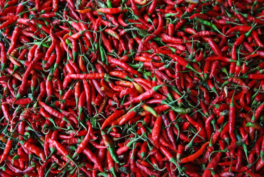 Things That Affect Dreams How to Have Good Dreams and Avoid Nightmares