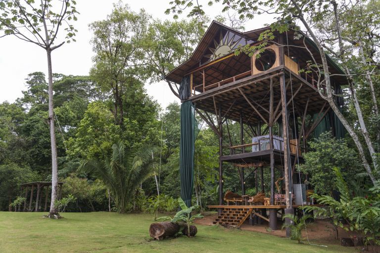 Tree Houses Tree Houses