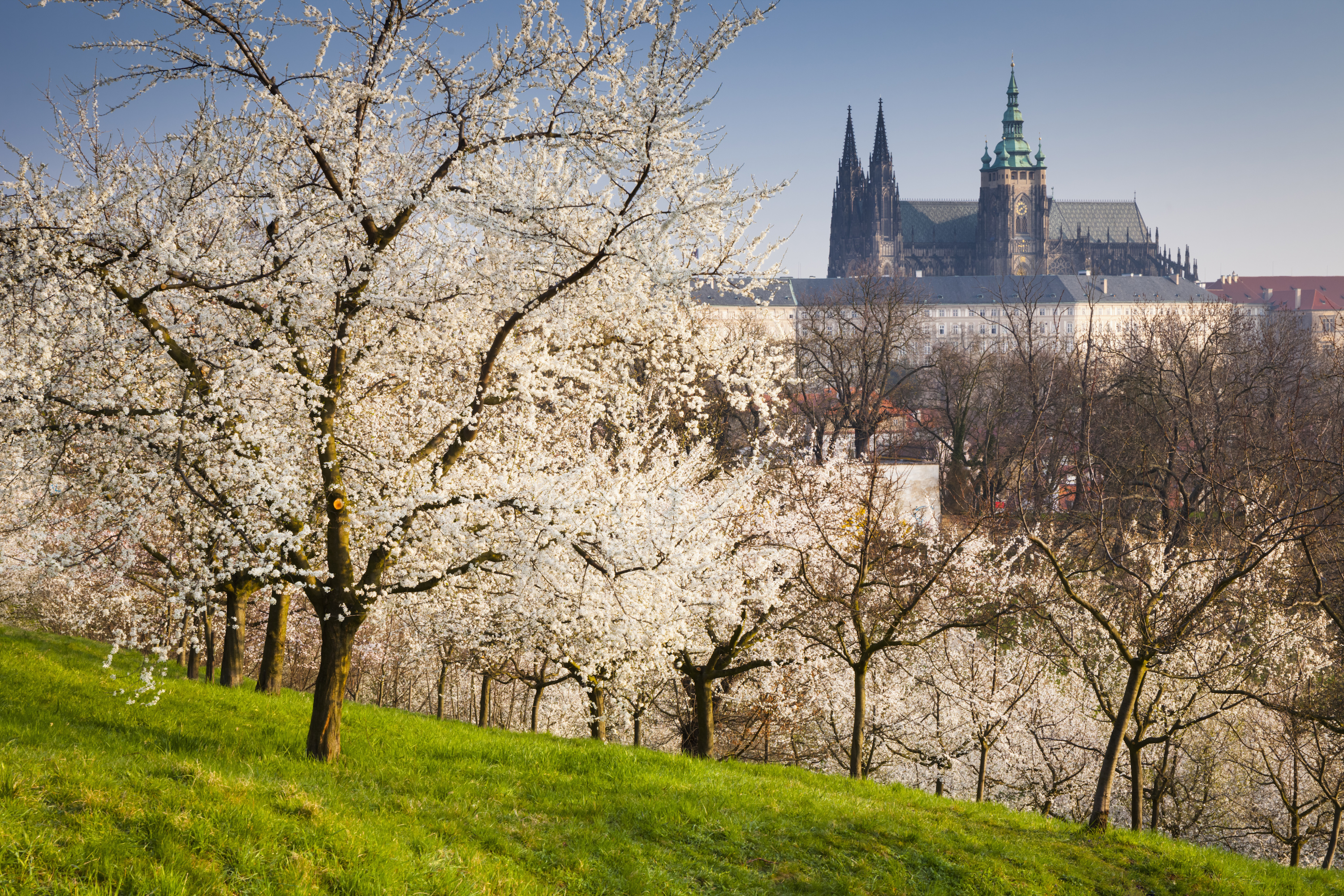Best Flower and Ornamental Gardens - Prettiest Nature Destinations