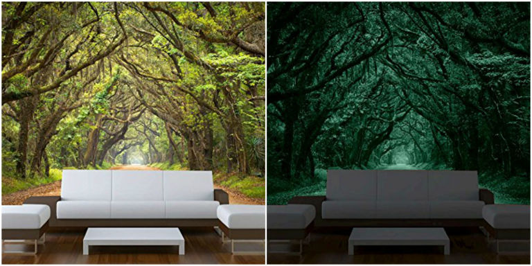 Glow In The Dark Wall Murals glow-in-the-dark posters - glowing wall art Glow In The Dark Wall Murals glow-in-the-dark posters - glowing wall art