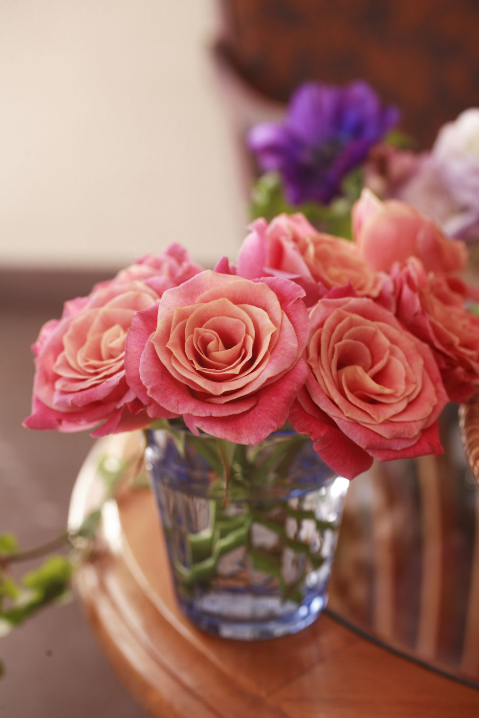 Pay.Housebeautiful.Com 11 plants, flowers, and herbs that fight sadness - plants that Pay.Housebeautiful.Com 11 plants, flowers, and herbs that fight sadness - plants that
