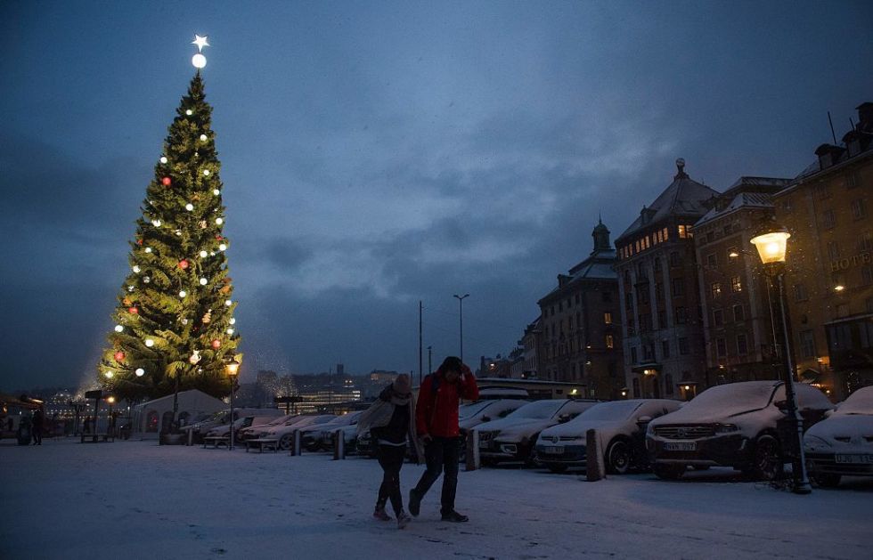 Pics Of Christmas Trees magical christmas trees worth seeing - christmas tree virtual tour Pics Of Christmas Trees magical christmas trees worth seeing - christmas tree virtual tour