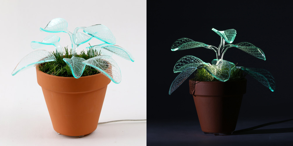 These Glowinthe Dark Plants Are Just So Much Fun