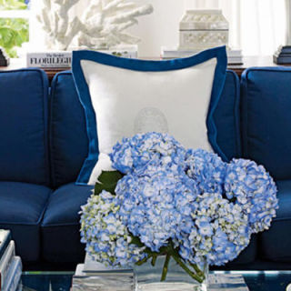 Blue And White Decor blue and white decor and rooms - decorating with blue and blue Blue And White Decor blue and white decor and rooms - decorating with blue and blue