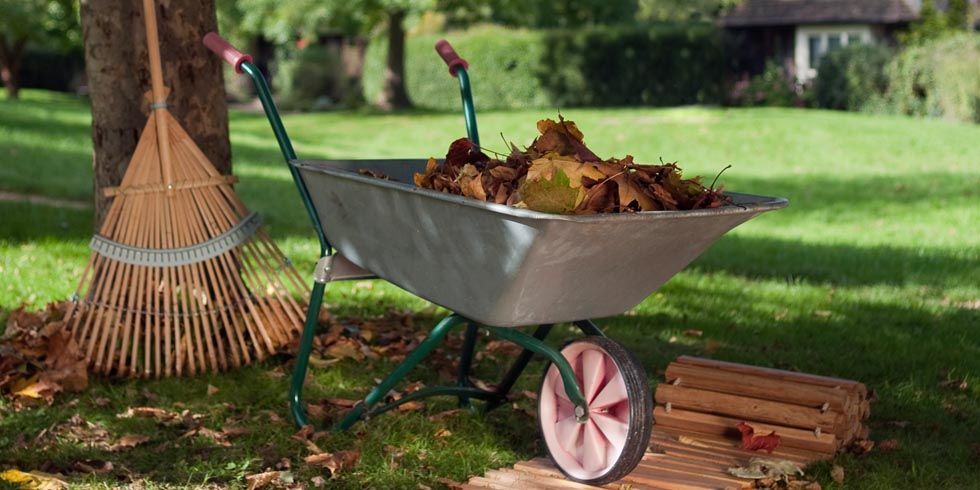 Fall Landscaping Tips fall landscaping tips & ideas - how to take care of your yard in Fall Landscaping Tips fall landscaping tips & ideas - how to take care of your yard in