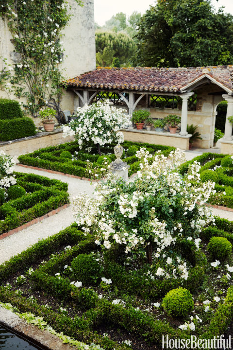 In the Cloister Garden of a 16th-century French countryside estate, the classic rose Katharina Zeimet stands out among the formal hedges.<br />