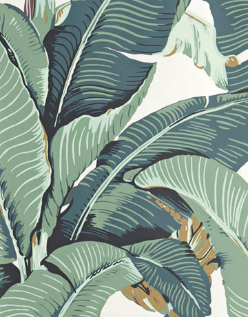 Hinson Wallpaper 10 ultimate wallpapers Hinson Wallpaper 10 ultimate wallpapers