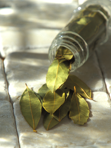 A bay leaf slipped into a container of flour, pasta, or rice will help repel bugs.