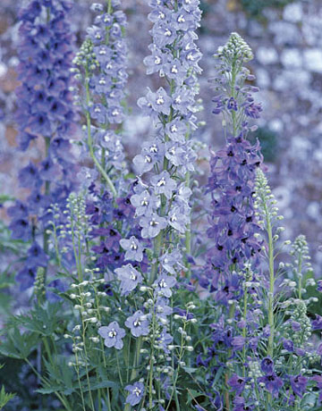 Spring Paint Colors spring colors for decorating Spring Paint Colors spring colors for decorating
