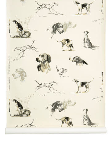 Dog Wallpaper For Walls dog wallpapers - cute wallpaper dogs Dog Wallpaper For Walls dog wallpapers - cute wallpaper dogs