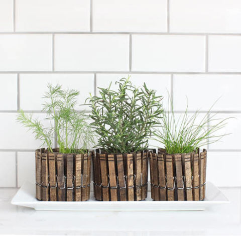 These stained-clothespin planters are a super-cute way to display your herb collection. Get the spanish instructions from Stebbing House Desing — Google translation here.<br />